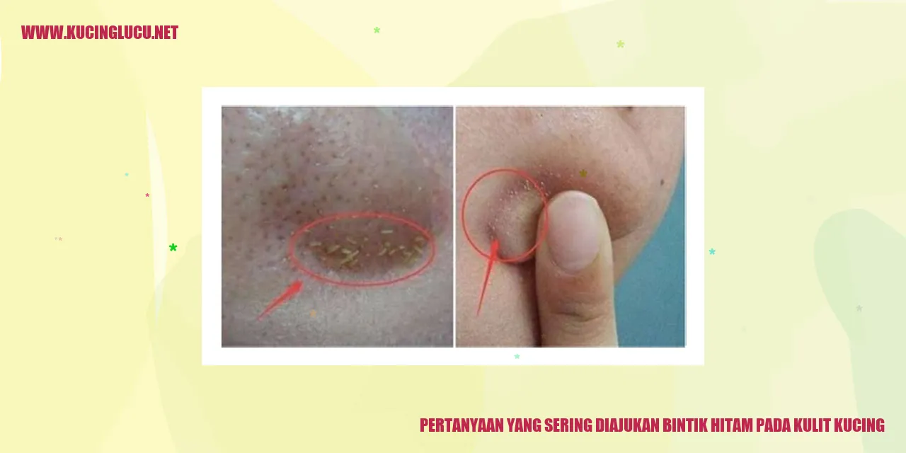 Bintik Hitam pada Kulit Kucing