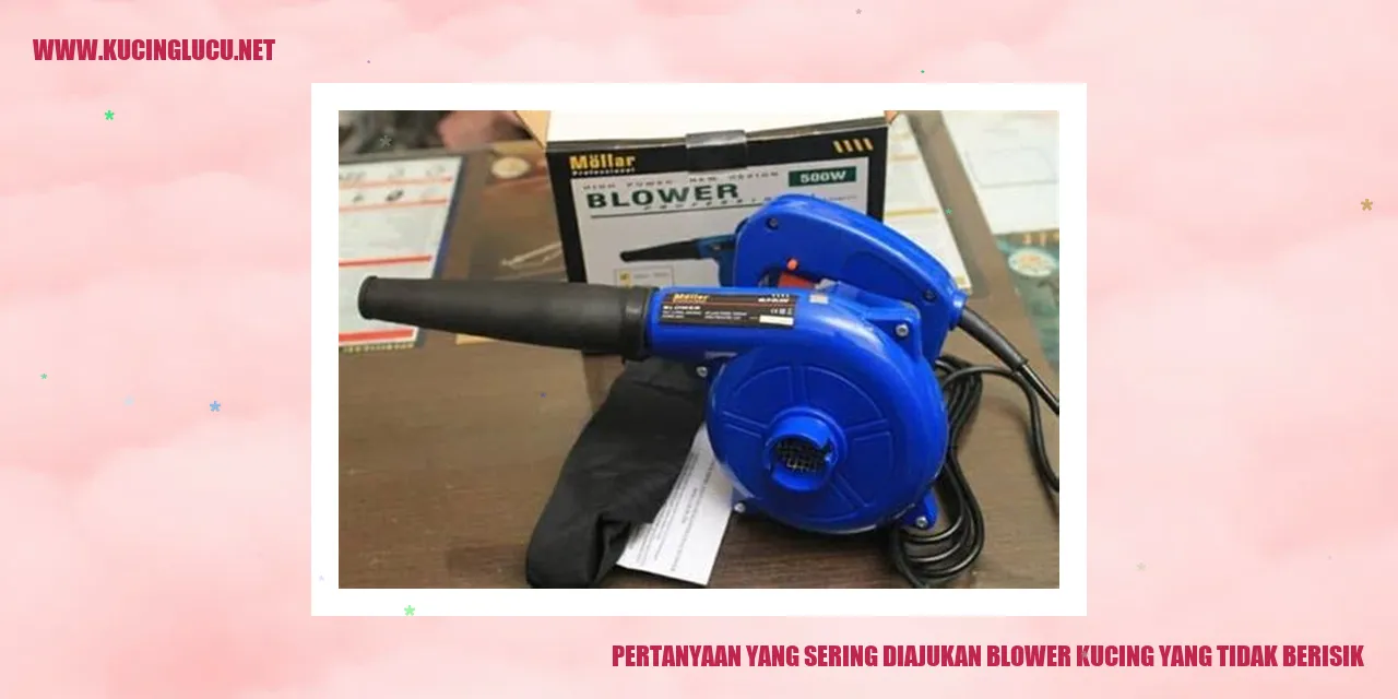 Pertanyaan yang Sering Diajukan blower kucing yang tidak berisik