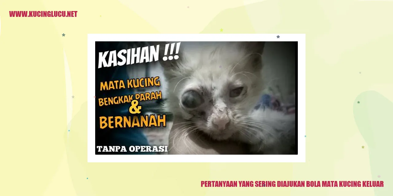 Bola Mata Kucing Keluar
