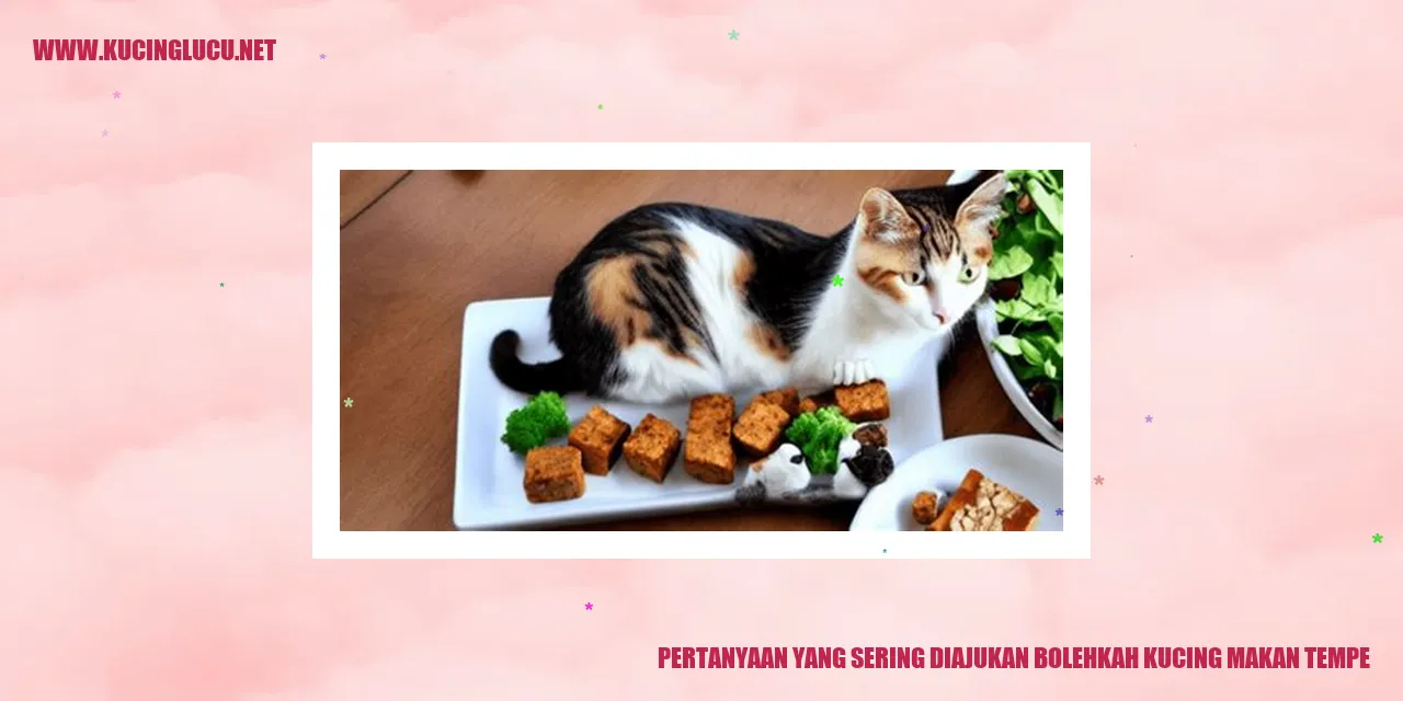 Kucing Menikmati Tempe