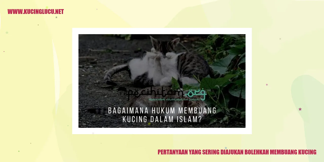 Pertanyaan yang Sering Diajukan: Bolehkah Membuang Kucing?