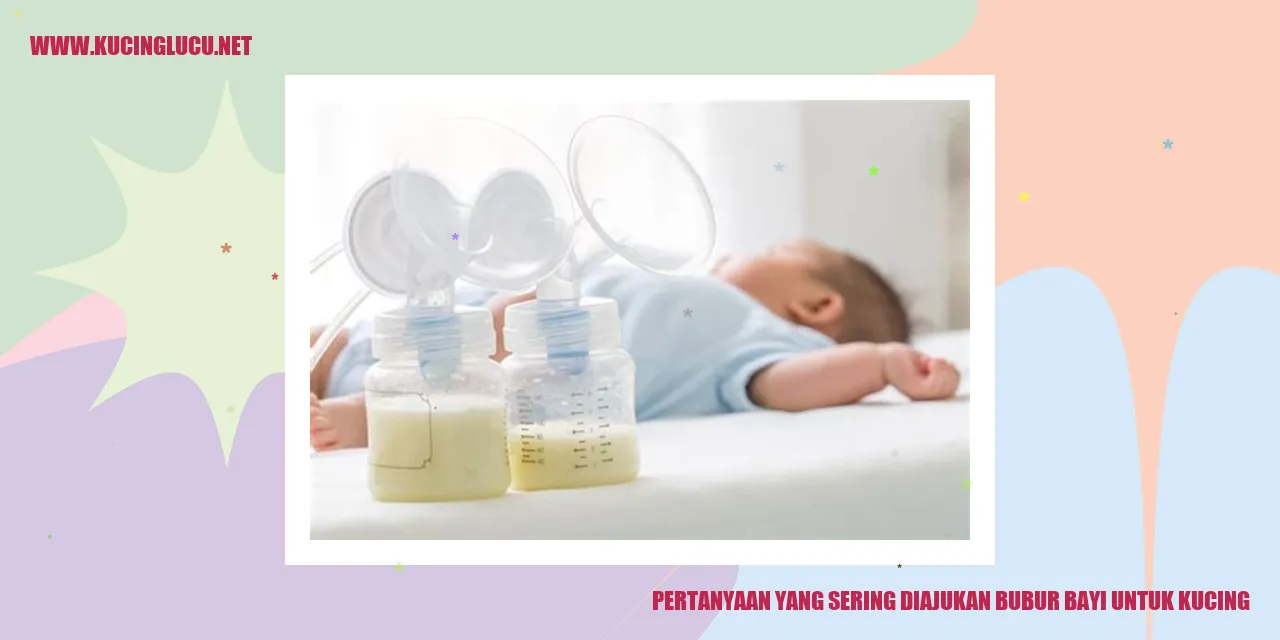 Kucing bayi