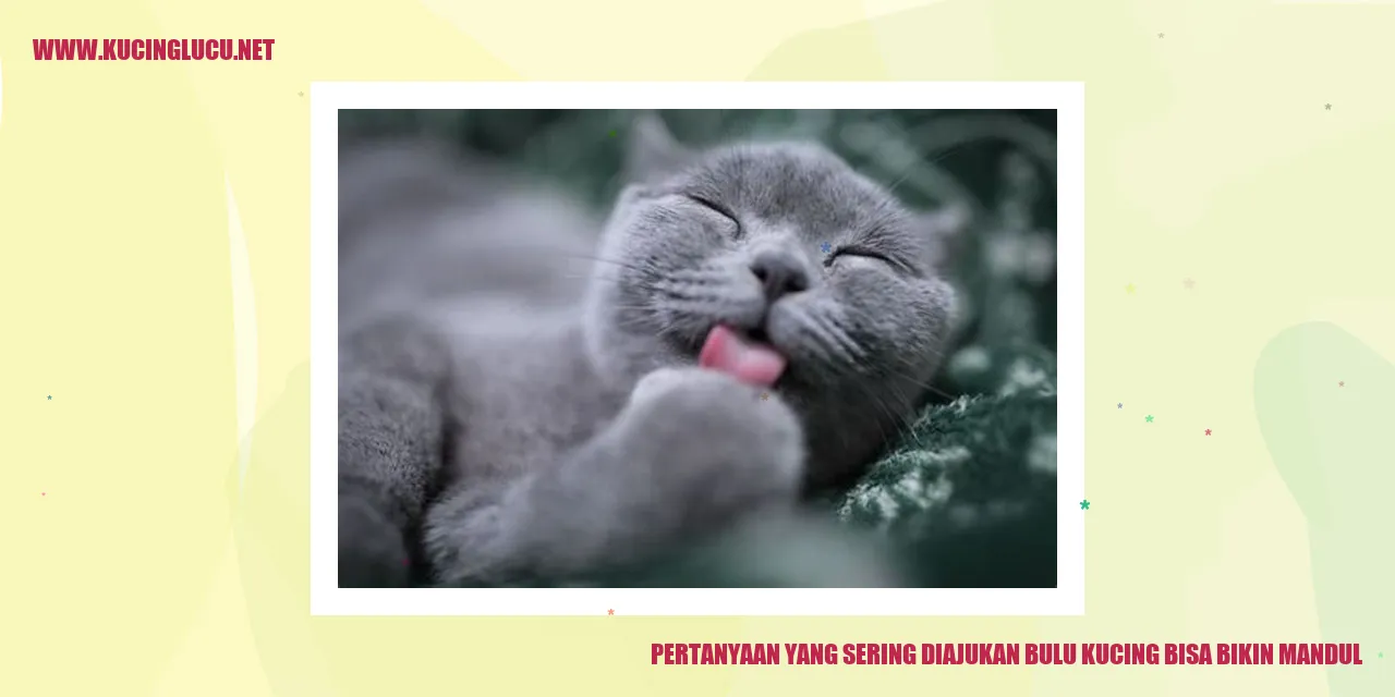 Pertanyaan yang Sering Diajukan bulu kucing bisa bikin mandul
