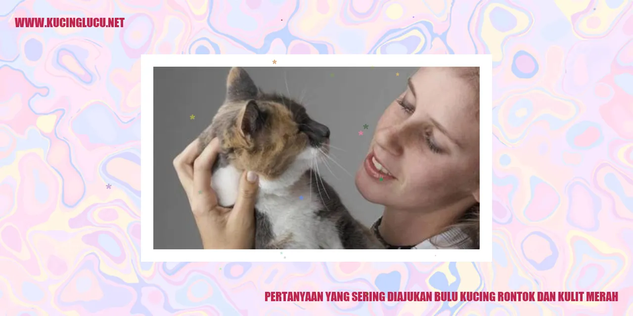 Pertanyaan tentang bulu kucing rontok dan kulit merah