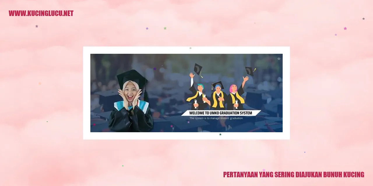 Gambar Kucing