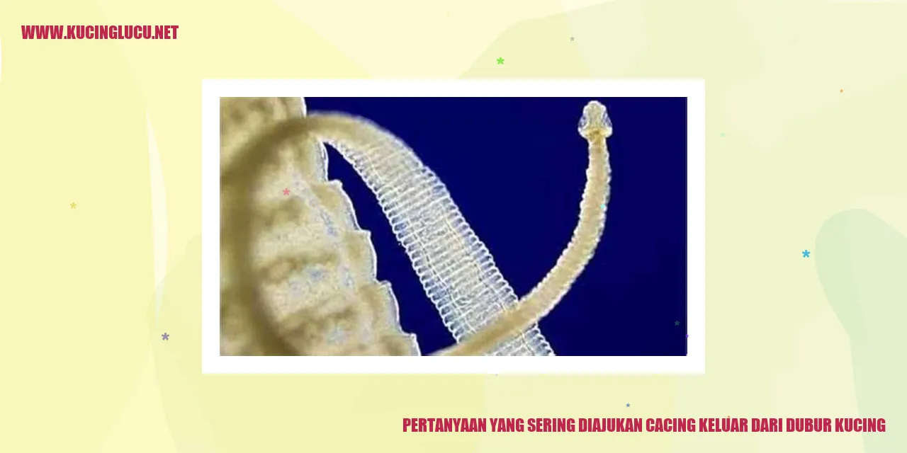 Ilustrasi cacing keluar dari dubur kucing
