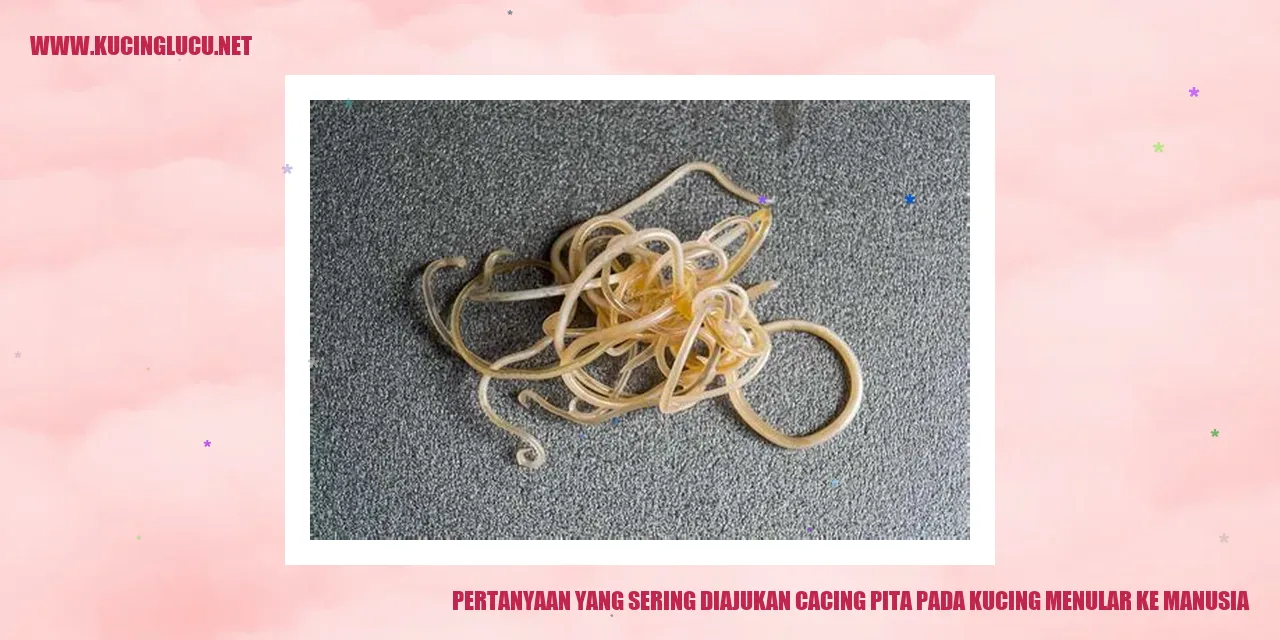 Illustrasi cacing pita pada kucing