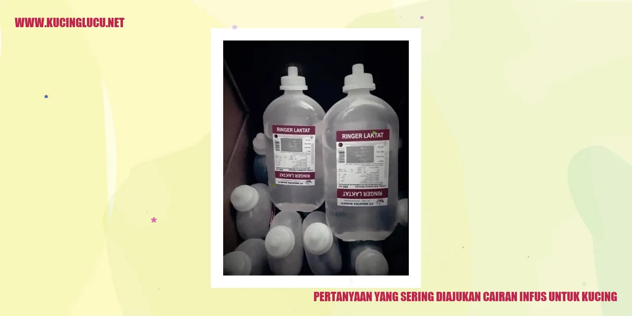 Pertanyaan yang Sering Diajukan cairan infus untuk kucing