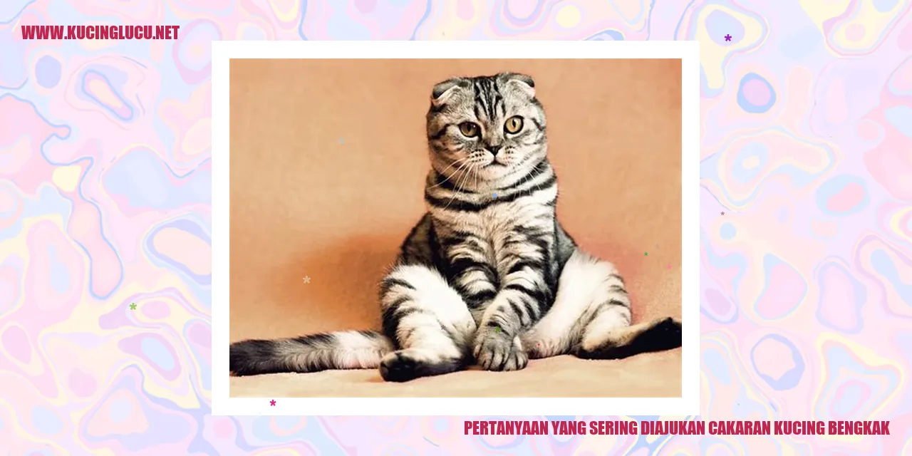 Cakaran Kucing Bengkak