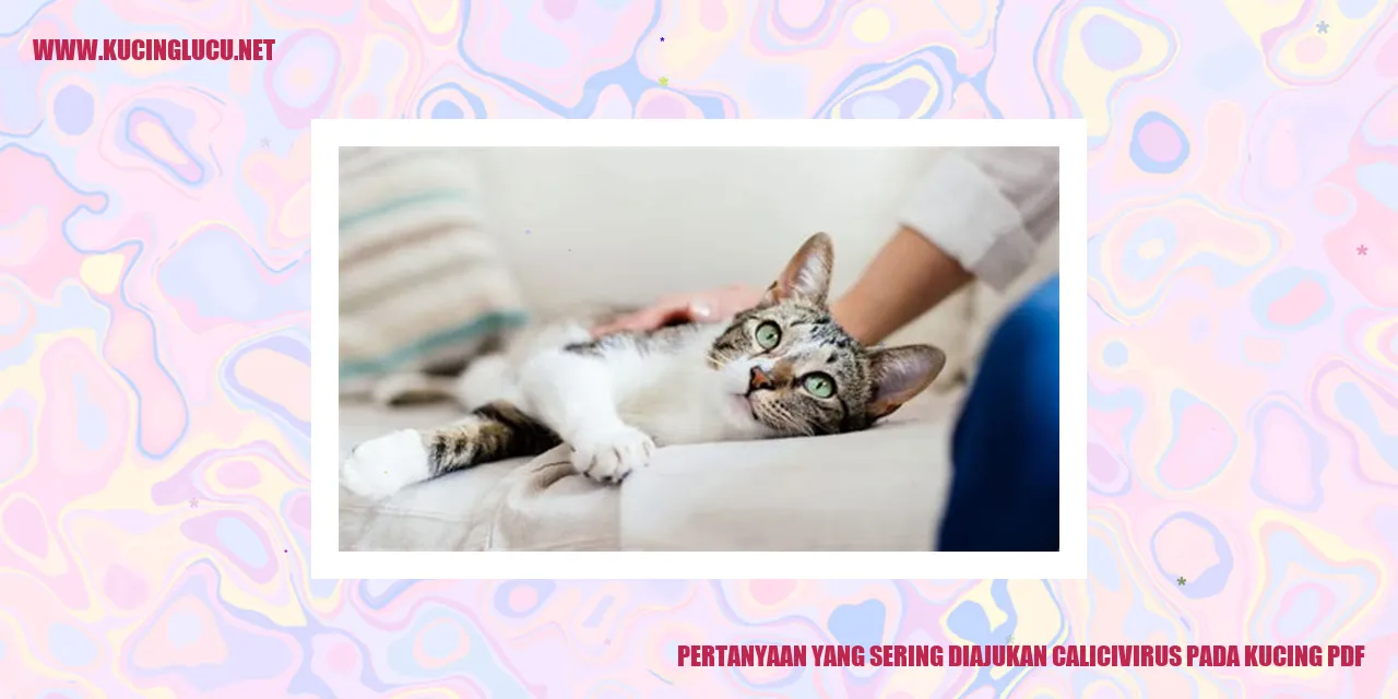 Ilustrasi Kucing