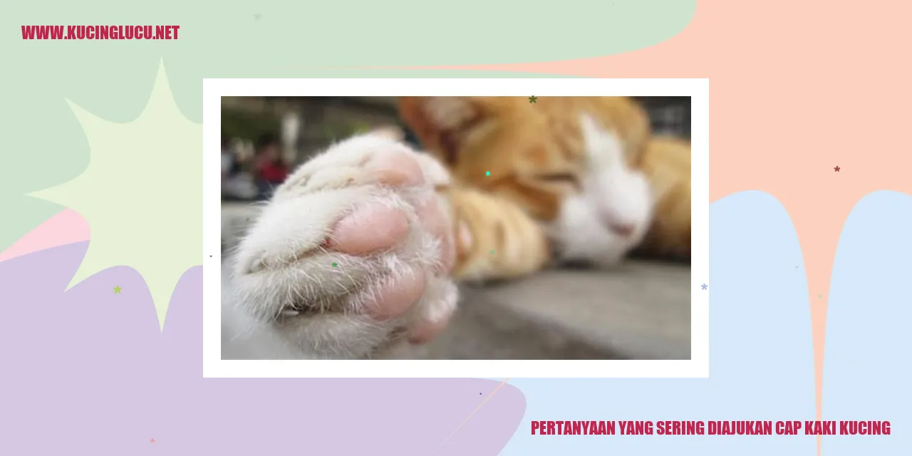 Cap Kaki Kucing