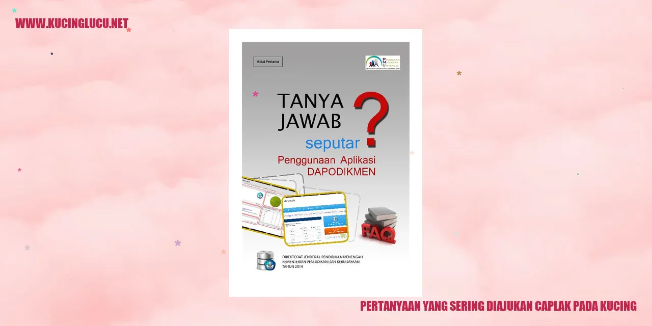 gambar kucing