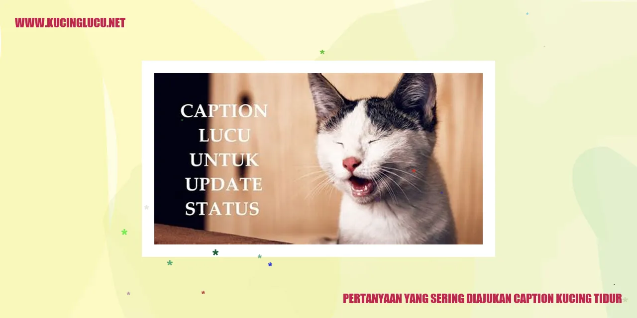 Kucing tidur