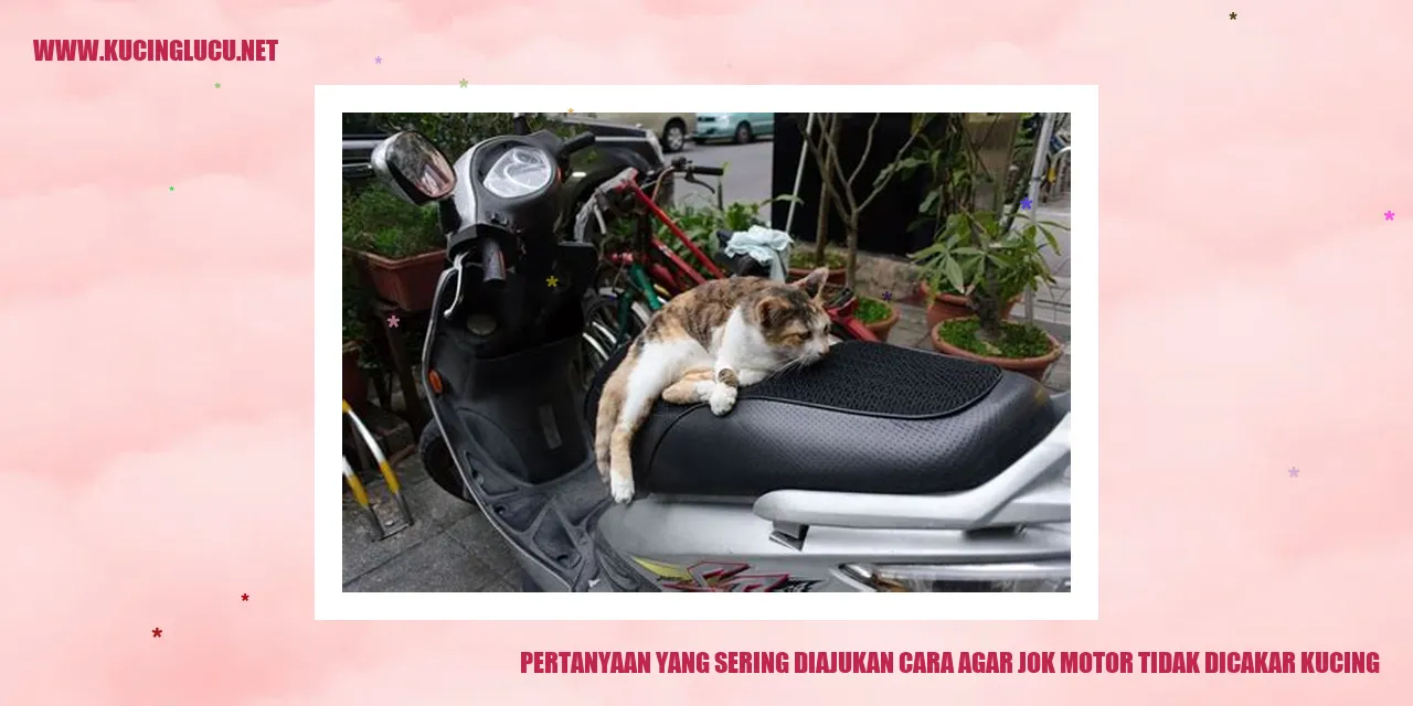 Kucing Menggaruk Jok Motor