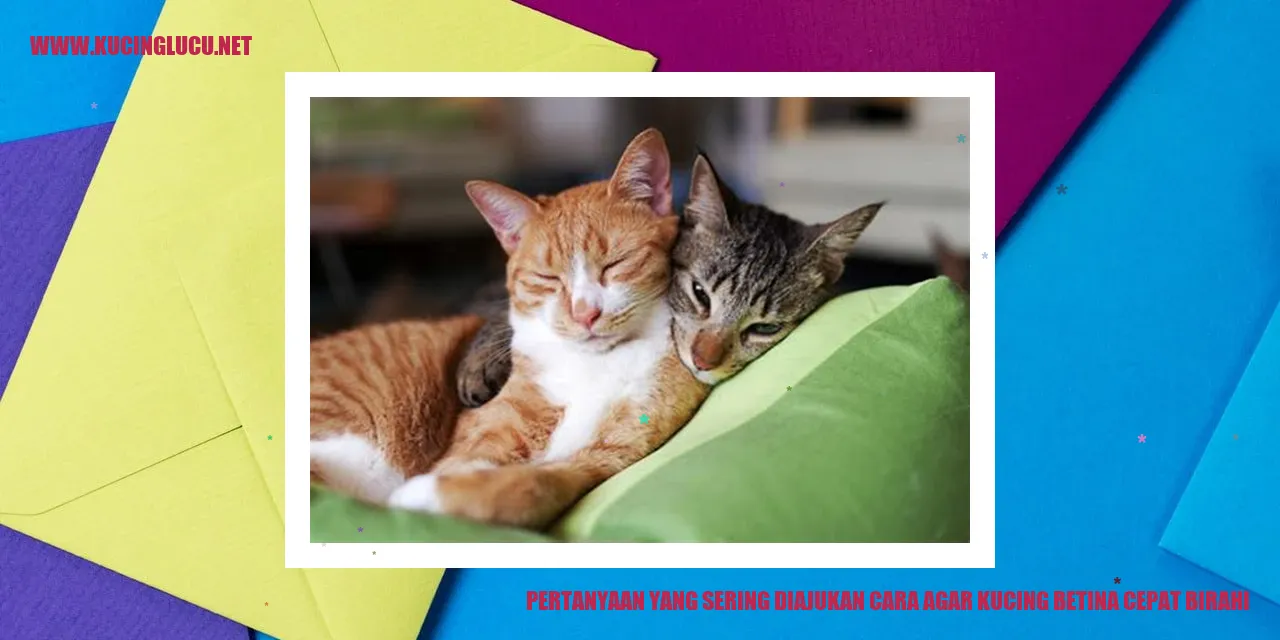 Kucing Betina Cepat Birahi
