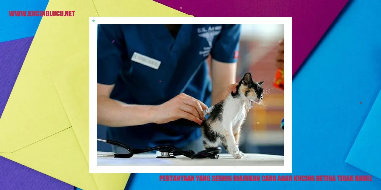 Gambar Kucing Betina