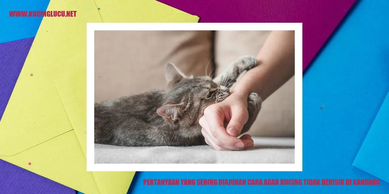 Kucing Mengganggu di Kandang