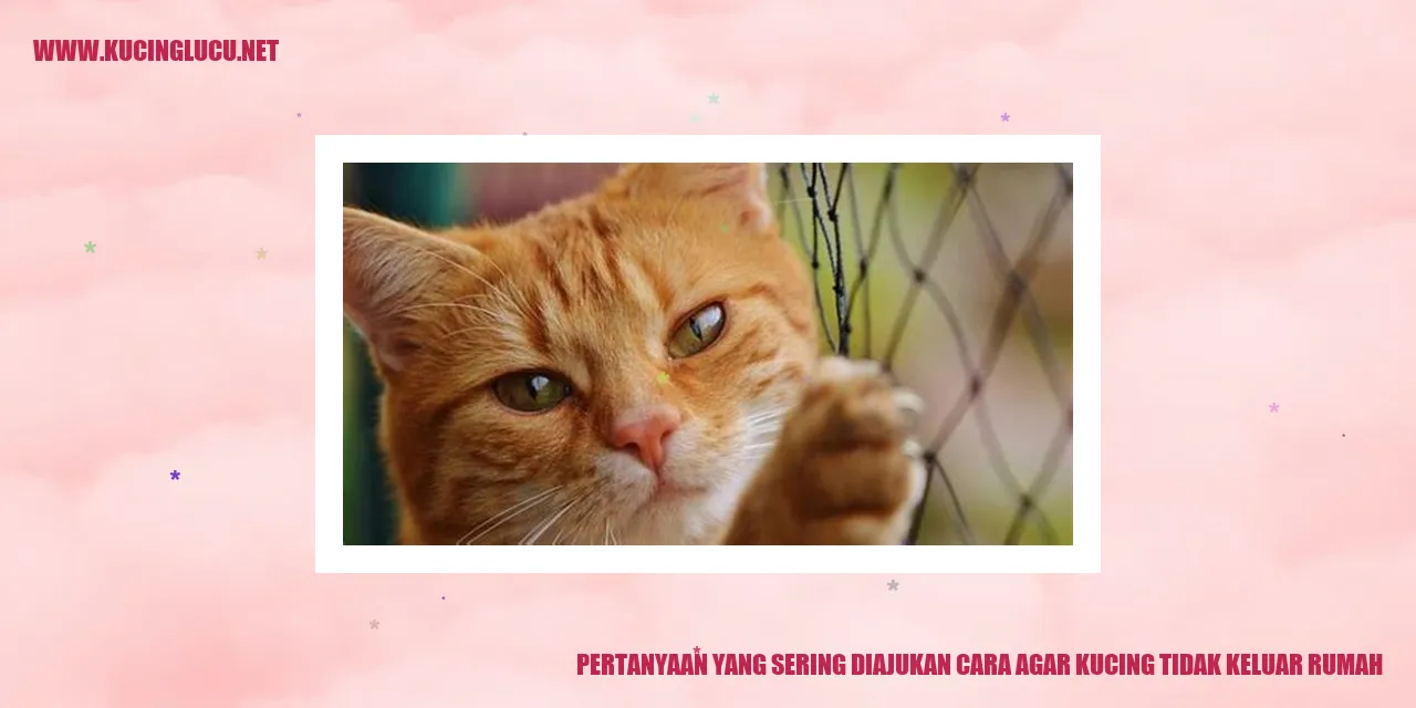 Pertanyaan yang Sering Diajukan cara agar kucing tidak keluar rumah