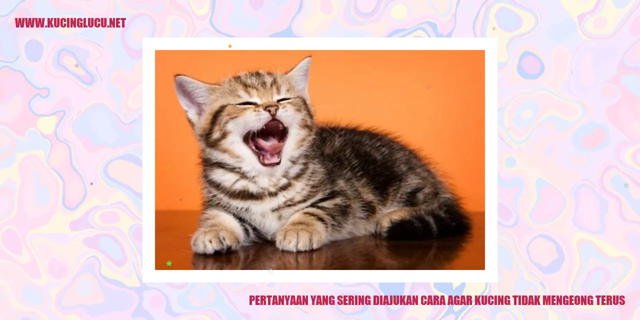 Kucing yang Tidak Mengeong Terus