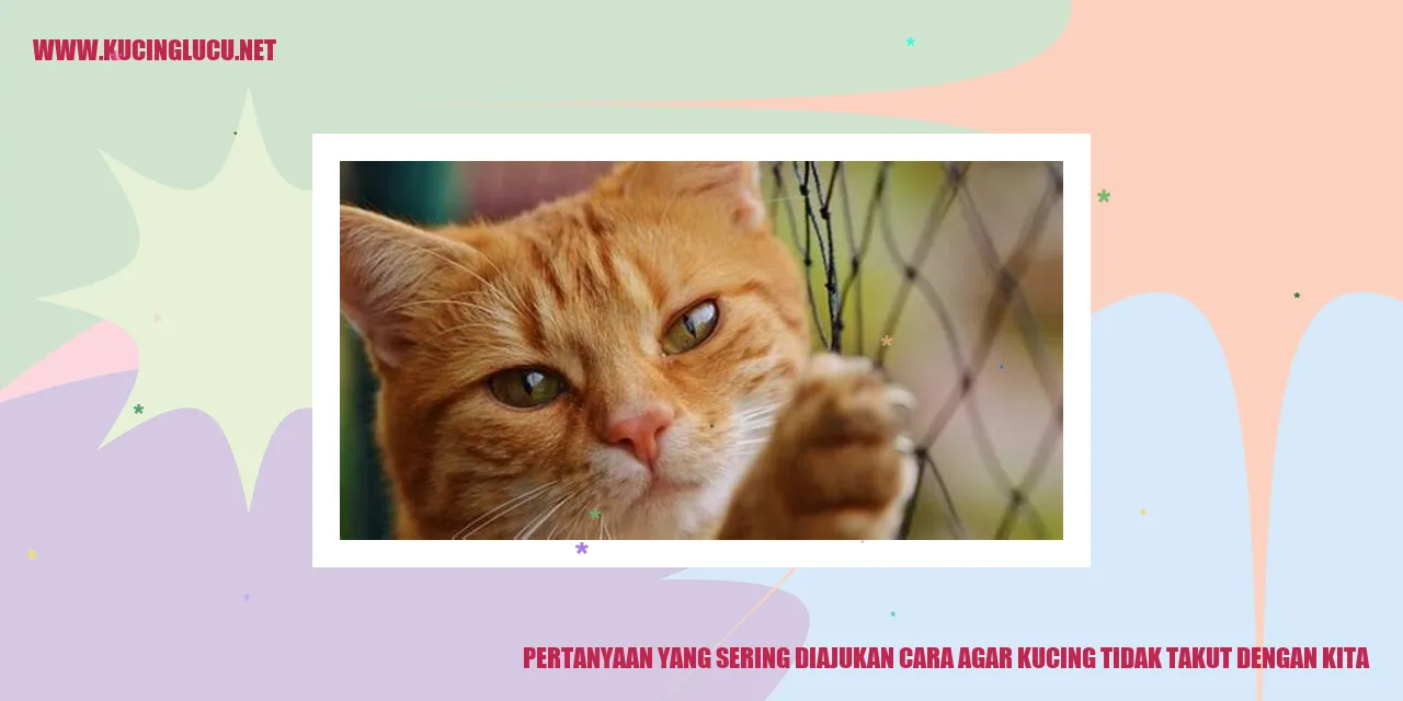 Gambar Kucing yang Pernah Ditanyakan