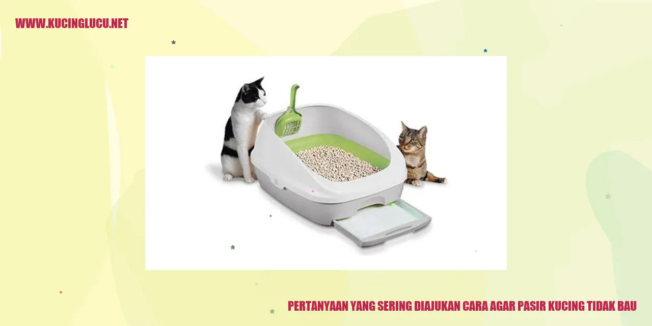 Gambar Pasir Kucing