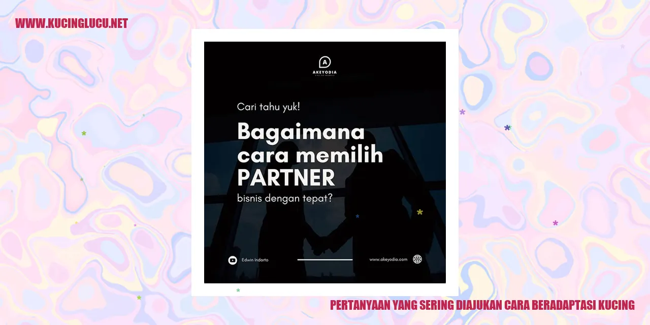 gambar kucing yang sedang beradaptasi