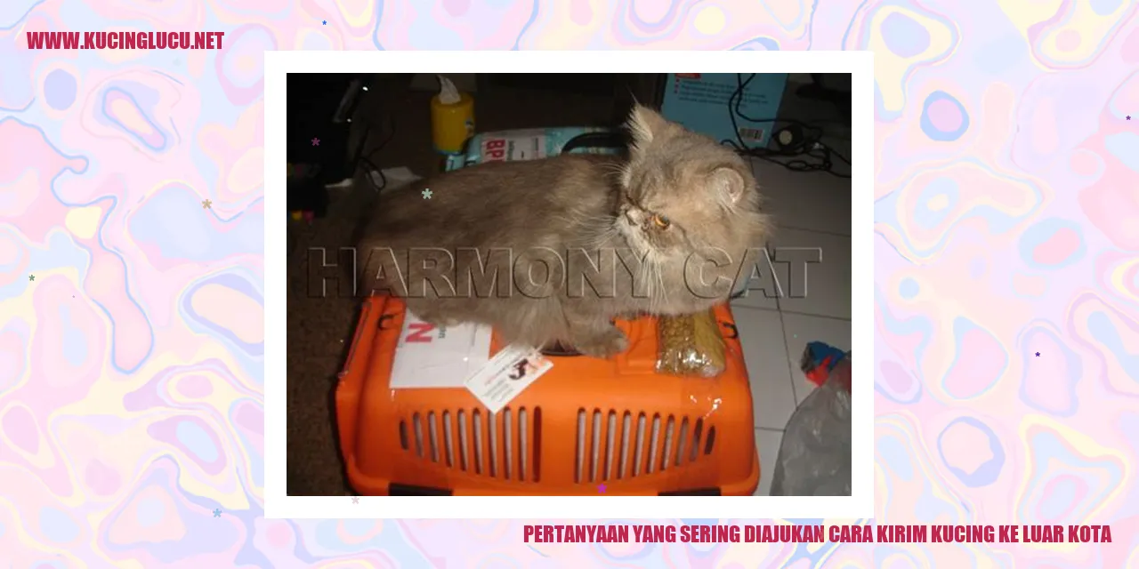 Pertanyaan yang Sering Diajukan tentang Cara Mengirim Kucing ke Luar Kota