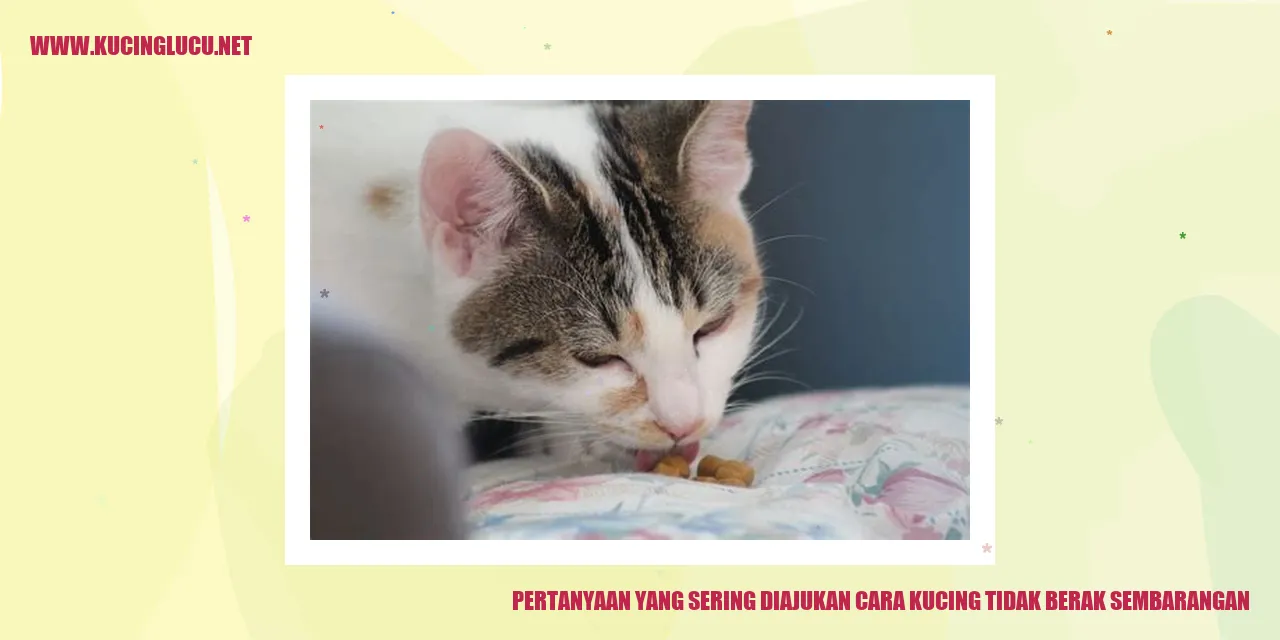 Kucing yang sehat dan bersih