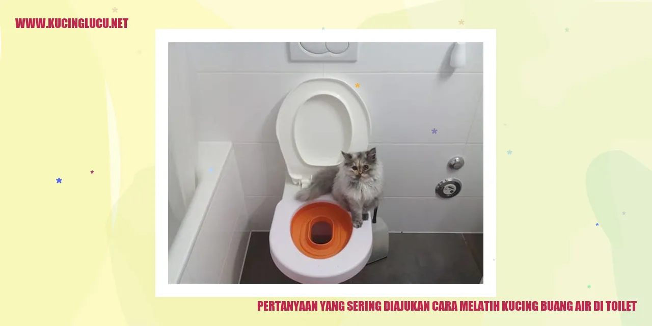 Gambar Kucing di Toilet