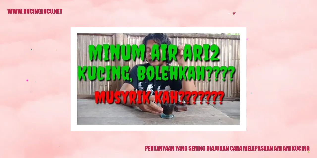 cara melepaskan ari ari kucing