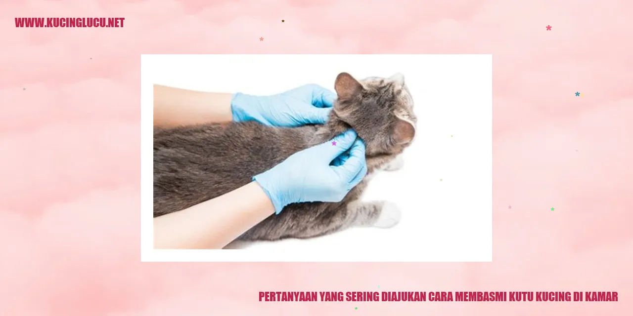 Gambar kutu kucing