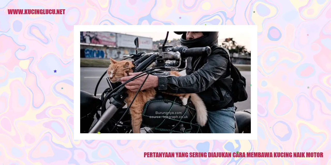 Pertanyaan yang Sering Diajukan cara membawa kucing naik motor