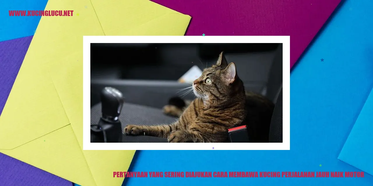Kucing di dalam kandang perjalanan