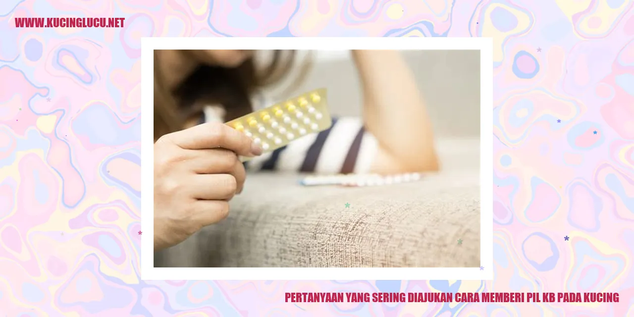 Gambar Kucing