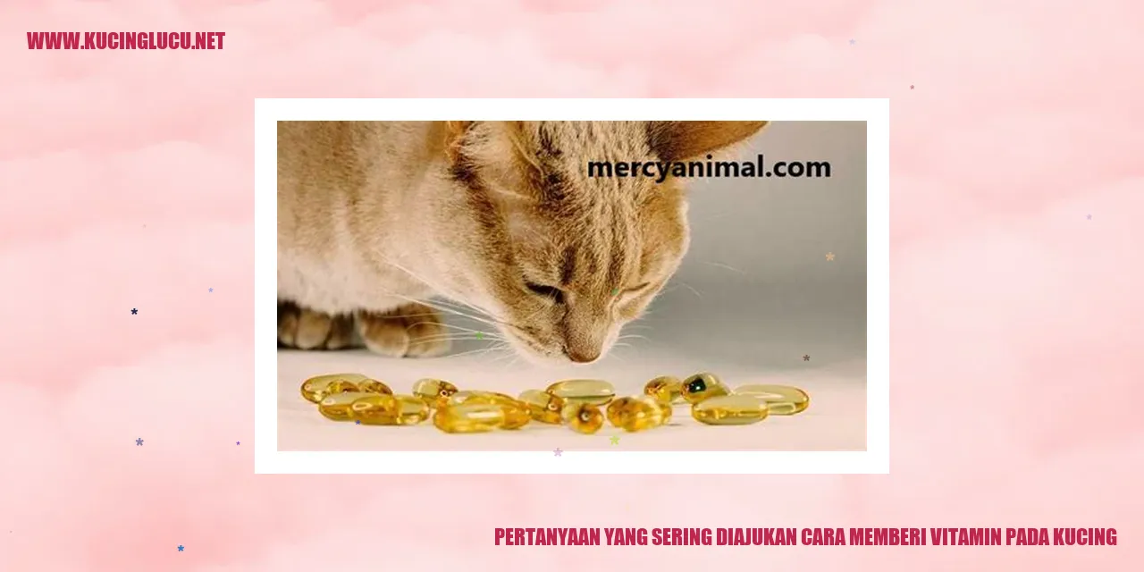 Gambar Kucing