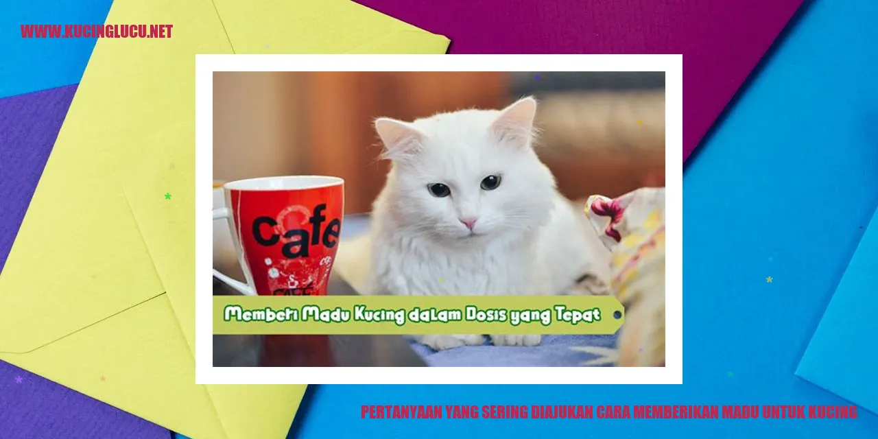 Kucing sedang meminum madu