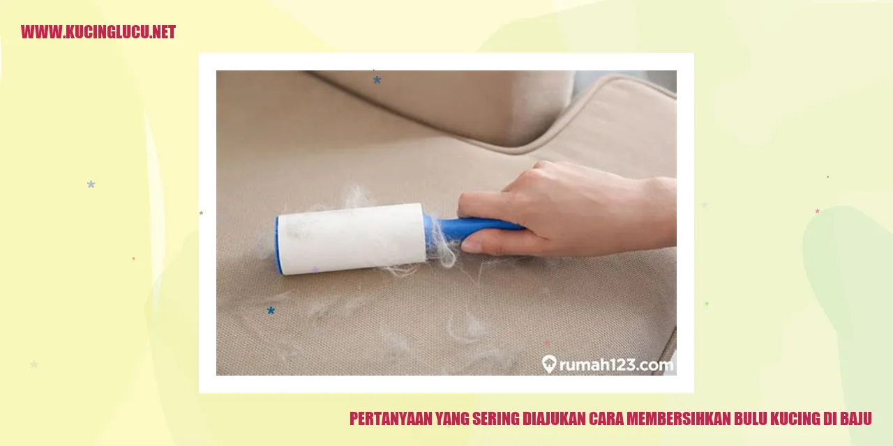 Gambar bulu kucing di baju