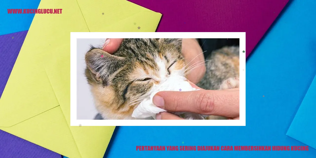 Cara Membersihkan Hidung Kucing