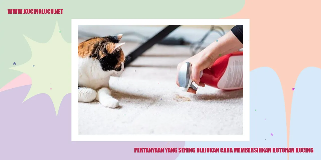 Membersihkan Kotoran Kucing