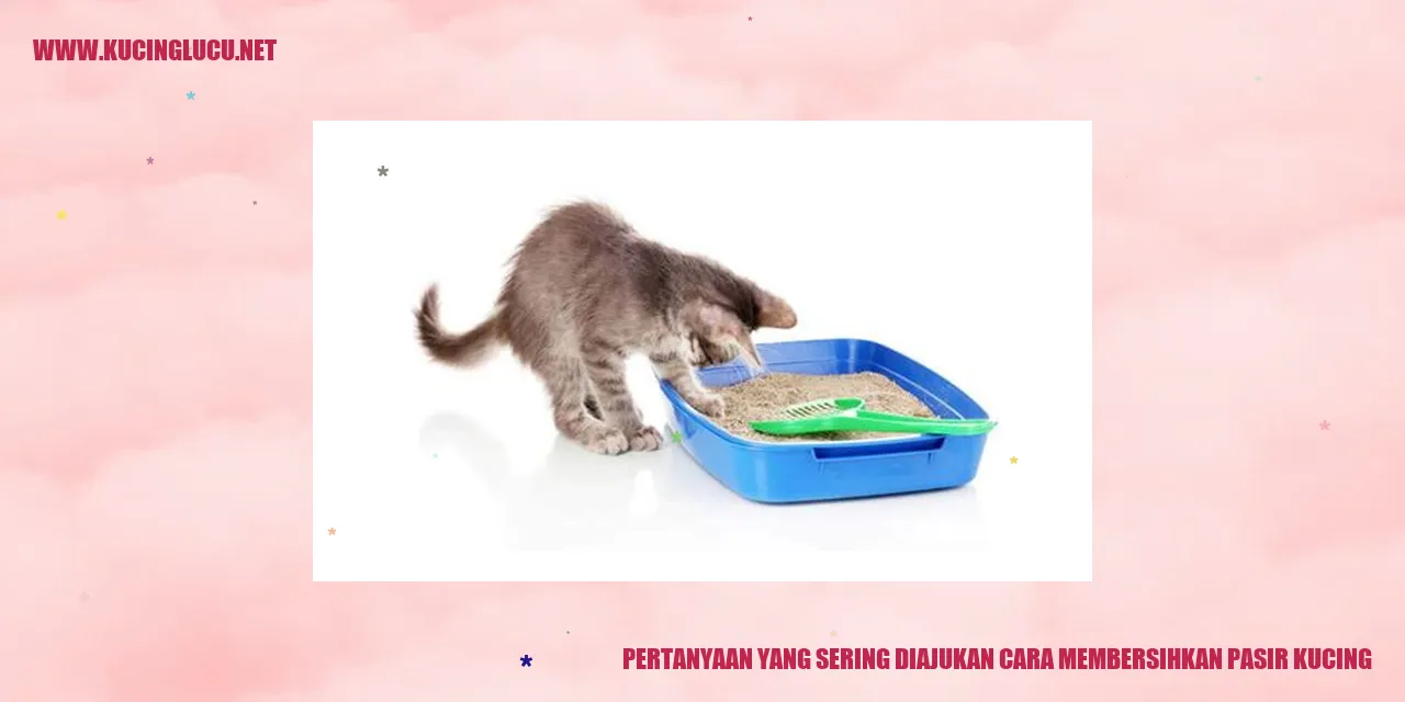 Pasir kucing