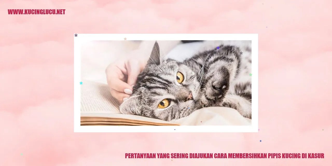 Pertanyaan yang Sering Diajukan cara membersihkan pipis kucing di kasur