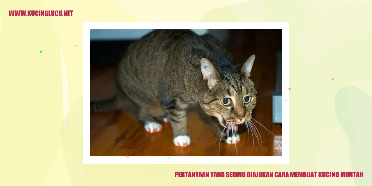 Pertanyaan yang Sering Diajukan cara membuat kucing muntah