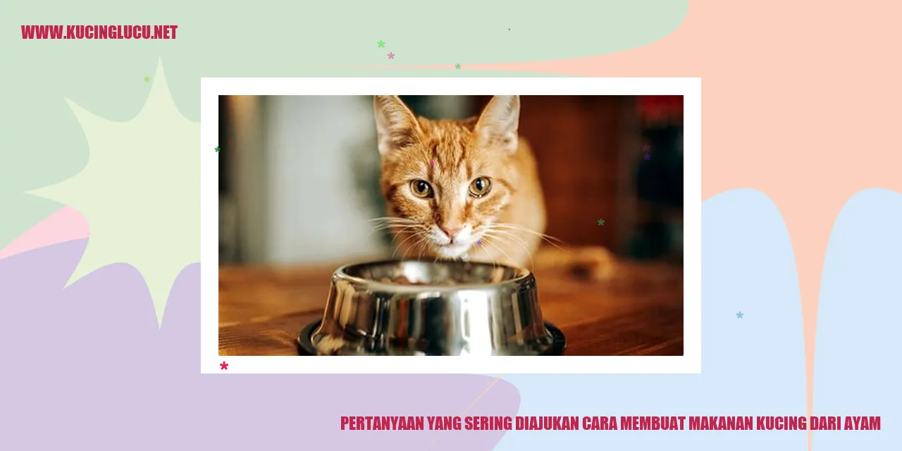 Makanan Kucing Ayam
