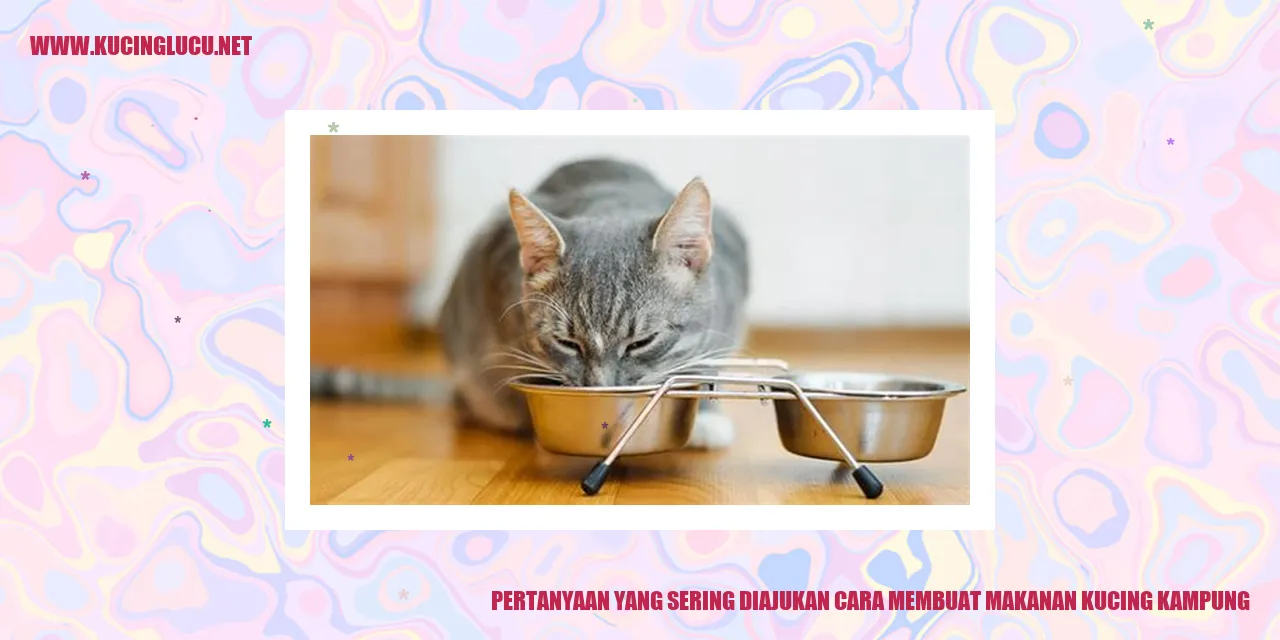 Ilustrasi Kucing Kampung