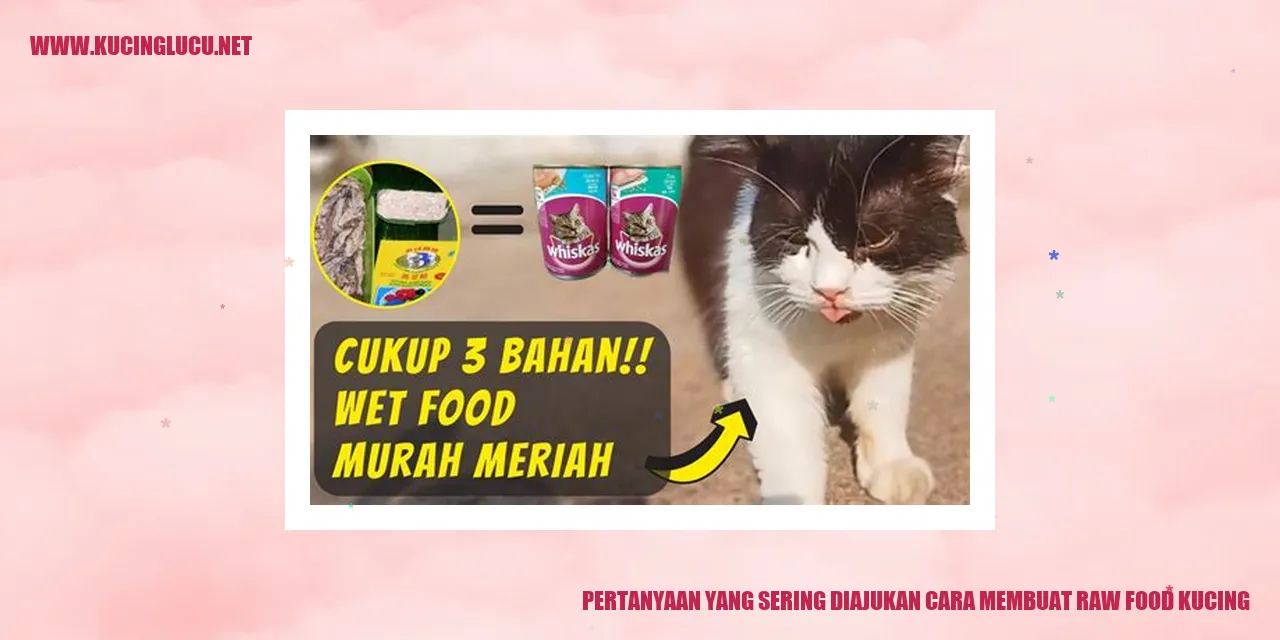 Kucing makan makanan mentah
