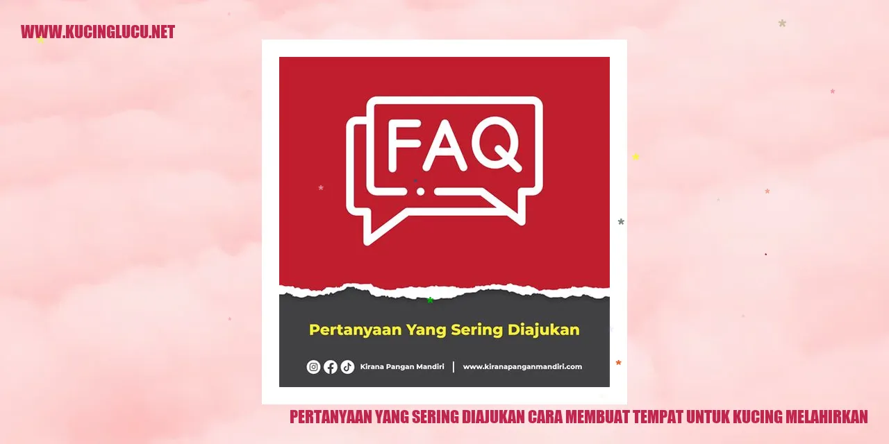 Ilustrasi Melahirkan Kucing