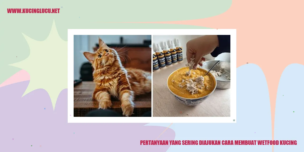 Gambar Pertanyaan yang Sering Ditanyakan mengenai Cara Membuat Wetfood untuk Kucing
