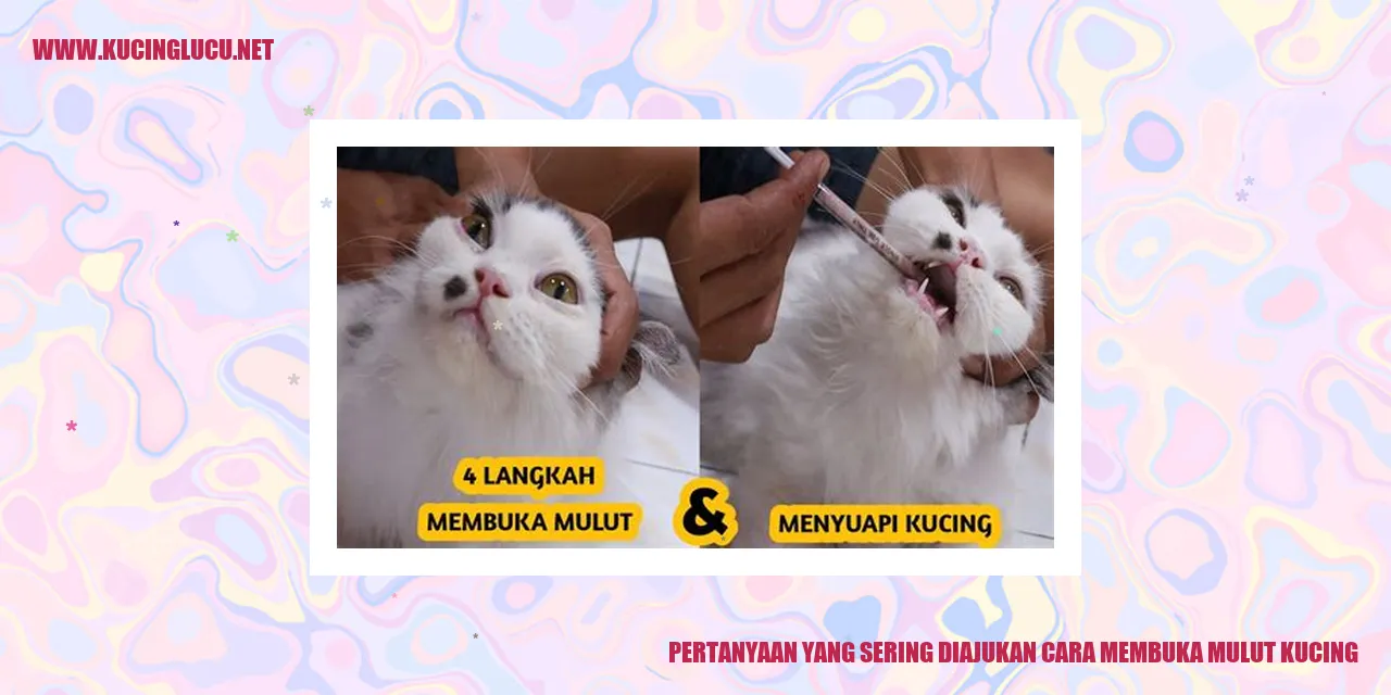 Gambar Kucing