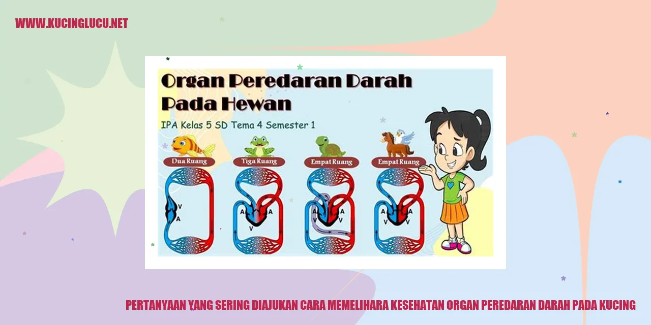 Gambar pertanyaan
