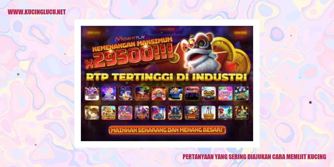 Gambar Kucing Sedang Dipijat